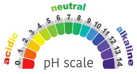 ph tubuh seimbang