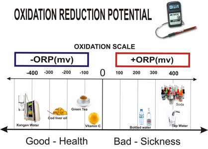 orp meter
