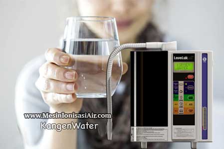 minum air putih kangen water