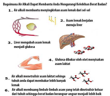 kangen water berat badan turun