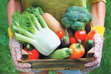 tips diet alkali