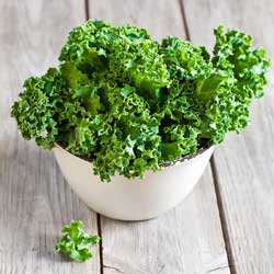 sayur kale