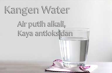kangen water detoks