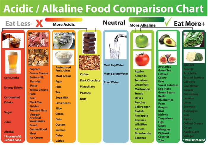 chart makanan asam alkali