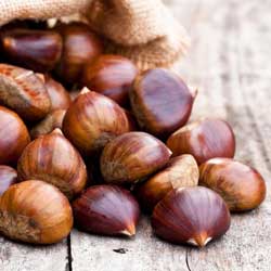 kacang chestnut alkali