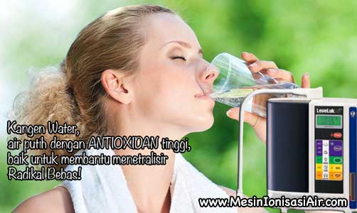 minum kangen water enagic