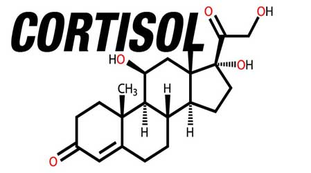 kortisol
