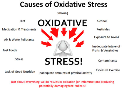 penyebab stress oksidatif