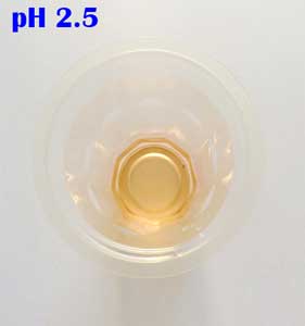 ph 2.5