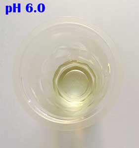 ph 6.0