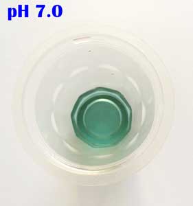 ph 7.0