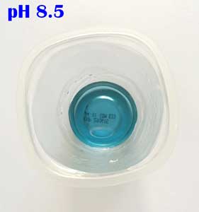 ph 8.5