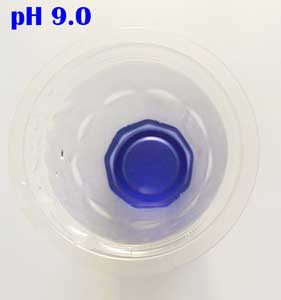 ph 9.0