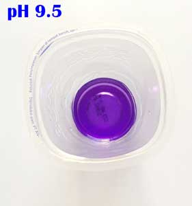 ph 9.5
